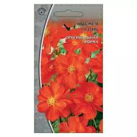 Семена Ваше Хозяйство