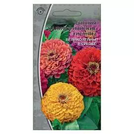 Семена Ваше Хозяйство