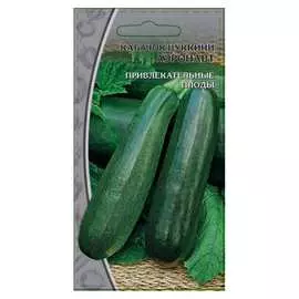 Кабачки Ваше Хозяйство