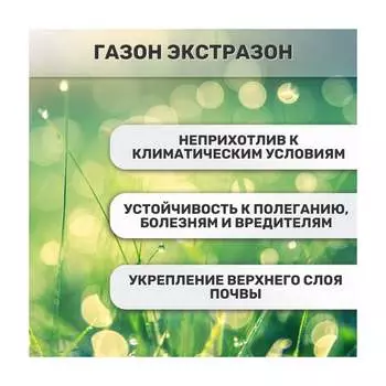 Семена Зеленый ковер 4607160333786