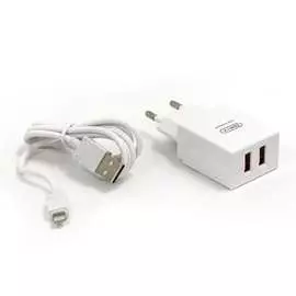 Сетевое зарядное устройство BYZ