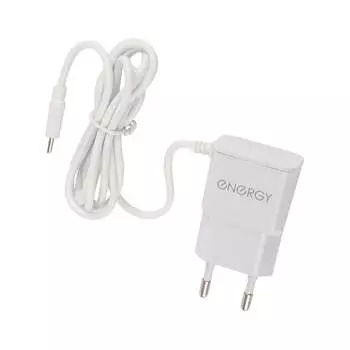 Сетевое зарядное устройство ENERGY ET-13 100296