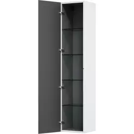 Шкаф-пенал am.pm spirit 2.0 подвесной 35 см m70achml0356wg