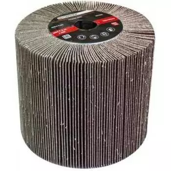 Шлифовальная насадка Forsage 49602 F-FD4100W