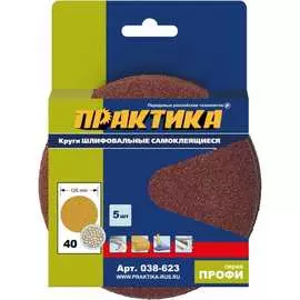 Шлифовальные круги ПРАКТИКА 038-623