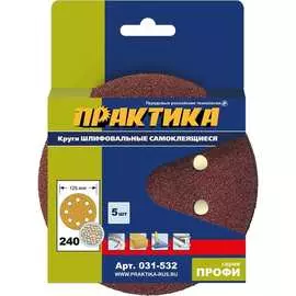 Шлифовальные круги ПРАКТИКА 031-532