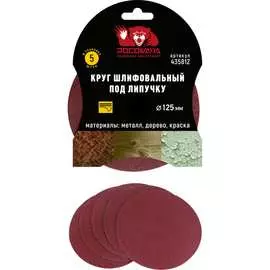 Шлифовальный круг РОСОМАХА 435812