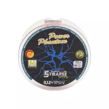 Шнур Power Phantom Synapse NANO PE PPPESYNM100012