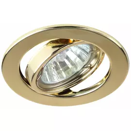 Поворотный штампованный светильник ЭРА ST2A GD C0043806