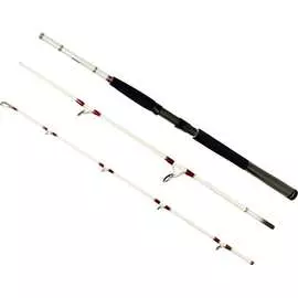 Штекерный спиннинг Daiwa