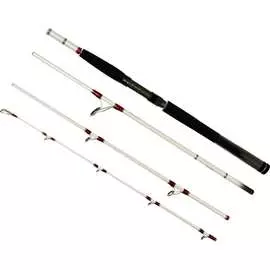 Штекерный спиннинг Daiwa