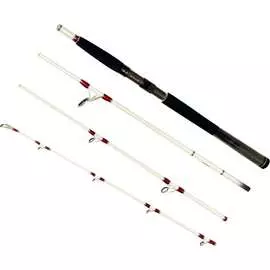 Штекерный спиннинг Daiwa