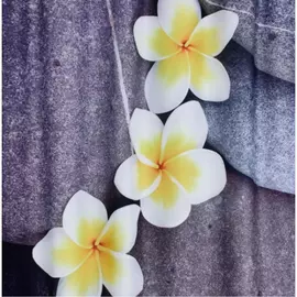 Штора для ванных комнат RIDDER