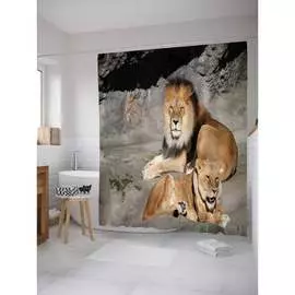 Штора-занавеска для ванной JOYARTY