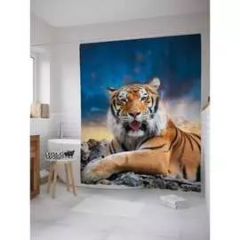 Шторка-занавеска для ванной JOYARTY