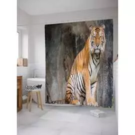 Шторка-занавеска для ванной JOYARTY