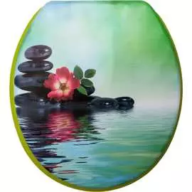 Сиденье для унитаза Delphinium