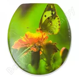 Сиденье для унитаза Delphinium SYL-3005 105068