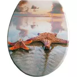 Сиденье для унитаза SanTrade 0511