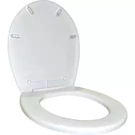 Сиденье на унитаз BranQ