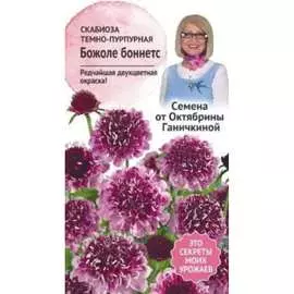 Скабиоза семена ОКТЯБРИНА ГАНИЧКИНА