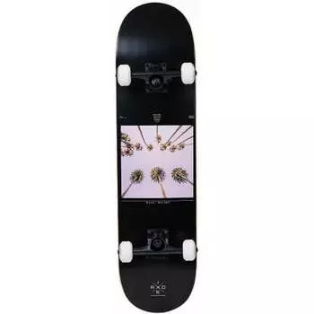 Скейтборд Ridex