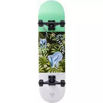 Скейтборд Ridex