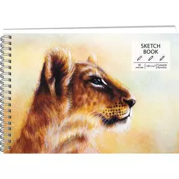 Скетчбук Paper art ТС5405052