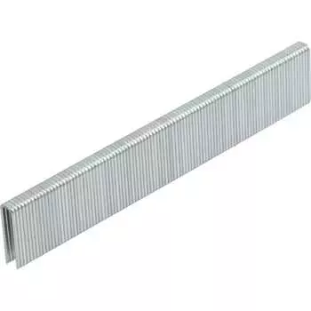 Скобы STARTUL Profi 19 мм, тип 18GA, 2500 шт. ST4520-19
