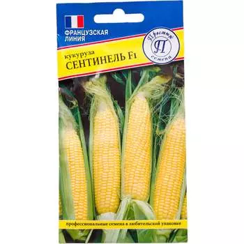 Сладкая кукуруза семена Престиж-Семена Сентинель F1 00033942