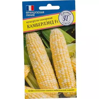Сладкая кукуруза семена Престиж-Семена Камберлэнд F1 00032142