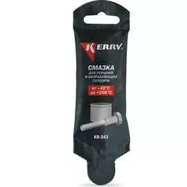 Смазка поршней и направляющих KERRY KR-543