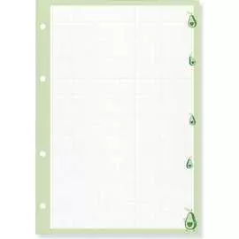 Сменный блок для тетради на кольцах Bruno Visconti