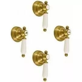 Смеситель для душа RavSlezak