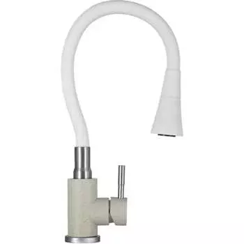 Смеситель для кухни WISENT