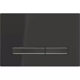 Смывная клавиша для двойного смыва Geberit