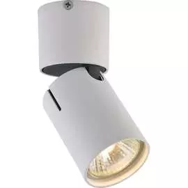 Спот Vele Luce Carrisi VL8061S21