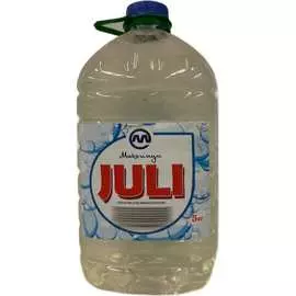 Средство для мытья посуды GFS