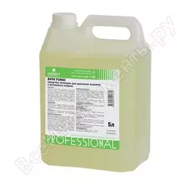 Средство для удаления плесени PROSEPT Bath Fungi 112-5