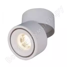 Стационарный светильник Elektrostandard 3100 a040958