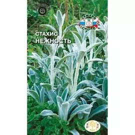 Стахис семена СеДек