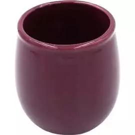 Стакан для зубных щеток Bath Plus