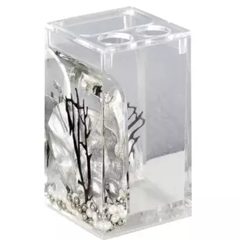 Стакан для зубных щеток Verran Silven 860-16