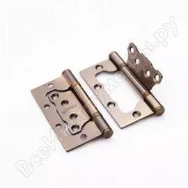 Стальная петля Ренц IN100-2BB FH AC безВР (2шт)