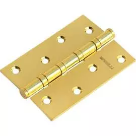 Стальная петля MORELLI MS 100X70X2.5-4BB PG 9008572