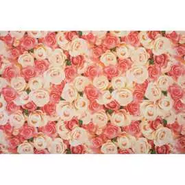 Столовая клеенка КОЛОРИТ Мажор ПР921