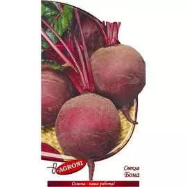 Столовая свекла семена Агрони