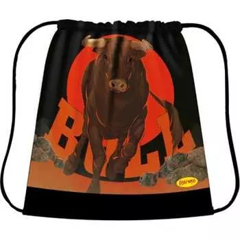 Сумка для сменной обуви Limpopo LPR0289 Сум2336