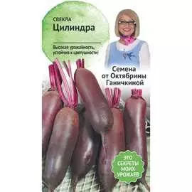 Свекла семена ОКТЯБРИНА ГАНИЧКИНА Цилиндра 119183