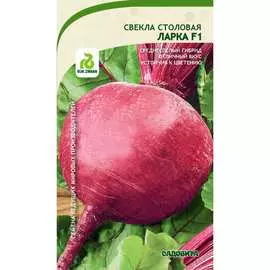 Свекла семена Садовита